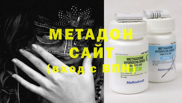индика Абаза