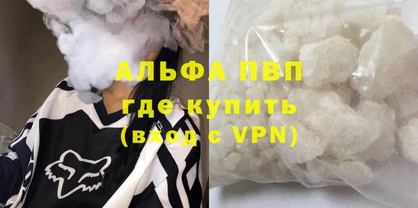 индика Абаза
