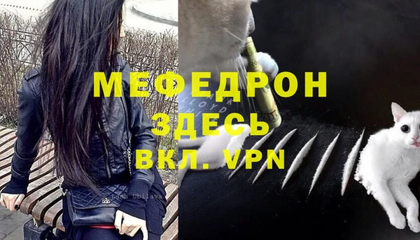 индика Абаза