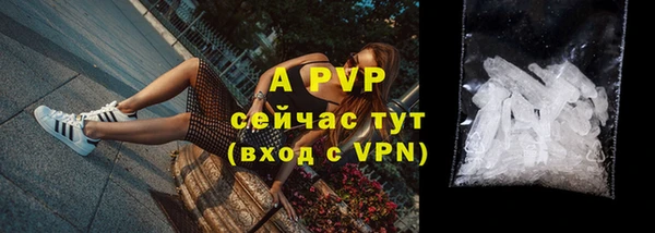 индика Абаза