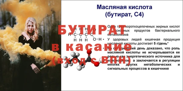 индика Абаза