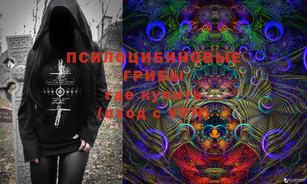 индика Абаза