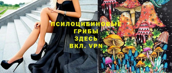 индика Абаза